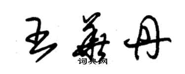 朱錫榮王華丹草書個性簽名怎么寫