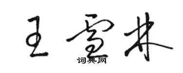 駱恆光王雪林草書個性簽名怎么寫