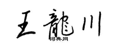 王正良王龍川行書個性簽名怎么寫