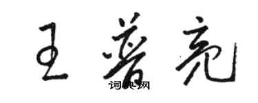 駱恆光王普亮草書個性簽名怎么寫