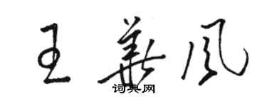 駱恆光王華風草書個性簽名怎么寫