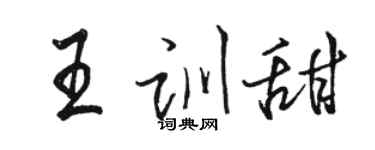 駱恆光王訓甜行書個性簽名怎么寫