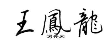 王正良王鳳龍行書個性簽名怎么寫