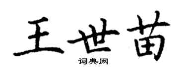 丁謙王世苗楷書個性簽名怎么寫