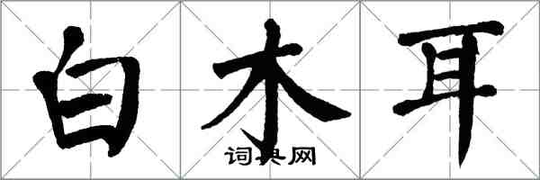 翁闓運白木耳楷書怎么寫