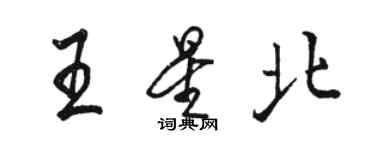 駱恆光王星北行書個性簽名怎么寫