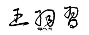 曾慶福王羽習草書個性簽名怎么寫