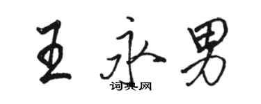 駱恆光王永男行書個性簽名怎么寫