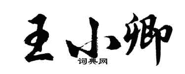 胡問遂王小卿行書個性簽名怎么寫