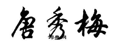 胡問遂唐秀梅行書個性簽名怎么寫