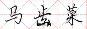 田英章馬齒菜行書怎么寫