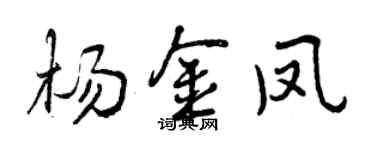 曾慶福楊金鳳行書個性簽名怎么寫