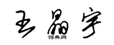 朱錫榮王晶宇草書個性簽名怎么寫