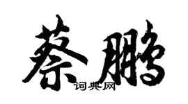 胡問遂蔡鵬行書個性簽名怎么寫