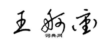 梁錦英王舸沖草書個性簽名怎么寫