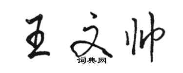 駱恆光王文帥行書個性簽名怎么寫