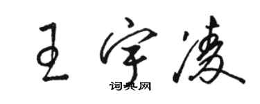 駱恆光王宇凌草書個性簽名怎么寫