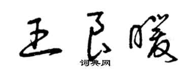 曾慶福王良暖草書個性簽名怎么寫