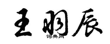 胡問遂王羽辰行書個性簽名怎么寫