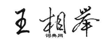 駱恆光王相舉行書個性簽名怎么寫