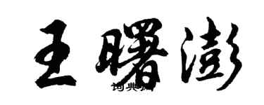 胡問遂王曙澎行書個性簽名怎么寫