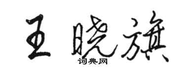 駱恆光王曉旗行書個性簽名怎么寫