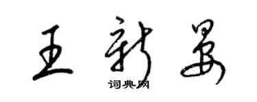 梁錦英王新晏草書個性簽名怎么寫