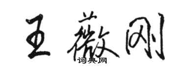 駱恆光王薇剛行書個性簽名怎么寫