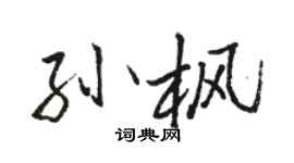 駱恆光孫楓行書個性簽名怎么寫