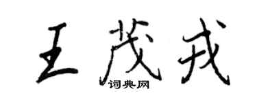 王正良王茂戎行書個性簽名怎么寫