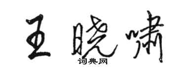 駱恆光王曉嘯行書個性簽名怎么寫