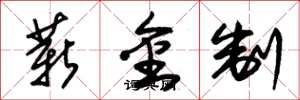 朱錫榮薪金制草書怎么寫