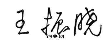 駱恆光王振曉草書個性簽名怎么寫