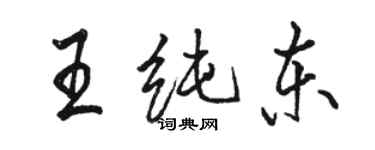 駱恆光王純東行書個性簽名怎么寫