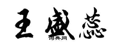 胡問遂王盛蕊行書個性簽名怎么寫