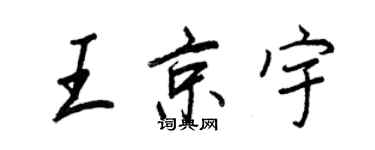 王正良王京宇行書個性簽名怎么寫