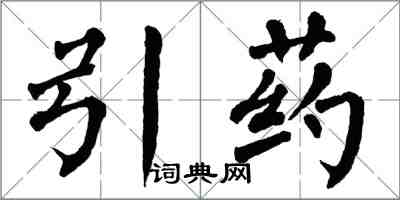 翁闓運引藥楷書怎么寫