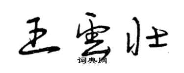 曾慶福王雲壯草書個性簽名怎么寫