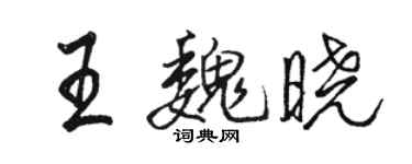 駱恆光王魏曉行書個性簽名怎么寫