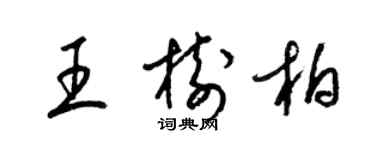 梁錦英王樹柏草書個性簽名怎么寫