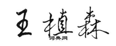 駱恆光王植森行書個性簽名怎么寫