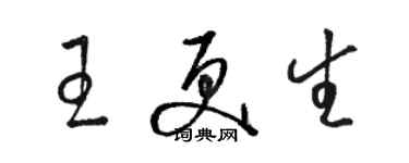 駱恆光王更生草書個性簽名怎么寫