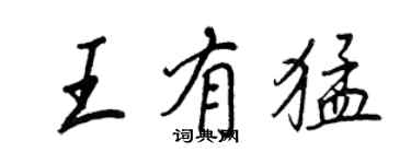 王正良王有猛行書個性簽名怎么寫