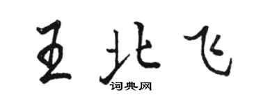 駱恆光王北飛行書個性簽名怎么寫