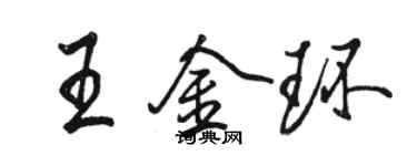 駱恆光王金環行書個性簽名怎么寫