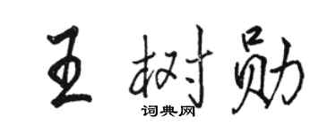 駱恆光王樹勛行書個性簽名怎么寫