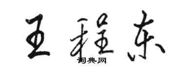 駱恆光王程東行書個性簽名怎么寫