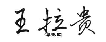 駱恆光王拉貴行書個性簽名怎么寫