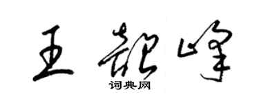 梁錦英王韶峰草書個性簽名怎么寫