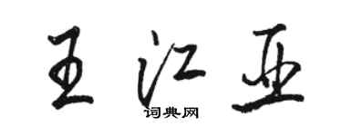 駱恆光王江亞行書個性簽名怎么寫